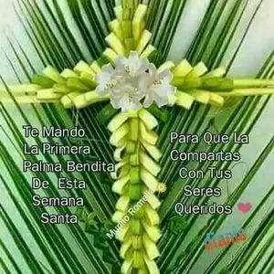 Meet your Posher, Alfredo